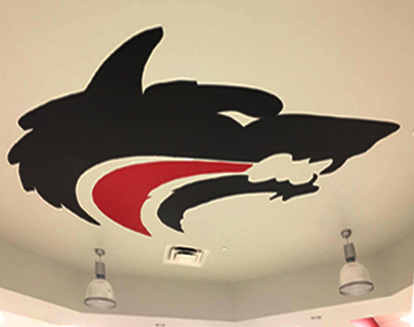 Colorado High School Interior Ceiling Graphics