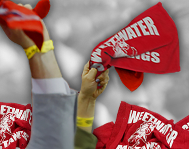 Rally Towels